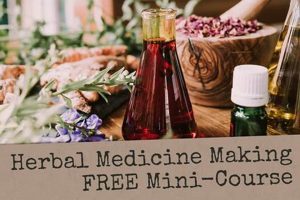 Learn: Free Herbal Medicine Course Online - Basics The Ultimate Herbal Remedies Guide: Natural Healing for a Healthier Life Learn: Free Herbal Medicine Course Online - Basics | The Ultimate Herbal Remedies Guide: Natural Healing for a Healthier Life