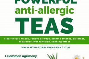 The *Best* Herbal Tea for Allergies? + Natural Relief The Ultimate Herbal Remedies Guide: Natural Healing for a Healthier Life The *Best* Herbal Tea for Allergies? + Natural Relief | The Ultimate Herbal Remedies Guide: Natural Healing for a Healthier Life