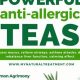 The *Best* Herbal Tea for Allergies? + Natural Relief | The Ultimate Herbal Remedies Guide: Natural Healing for a Healthier Life