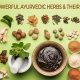 Boost Wellness: Ayurvedic Herbal Supplements Guide | The Ultimate Herbal Remedies Guide: Natural Healing for a Healthier Life