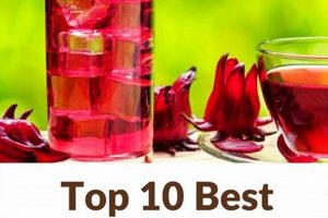 Top 7: Best Herbal Tea for Morning Energy & Focus The Ultimate Herbal Remedies Guide: Natural Healing for a Healthier Life Top 7: Best Herbal Tea for Morning Energy & Focus | The Ultimate Herbal Remedies Guide: Natural Healing for a Healthier Life