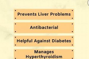Unlocking Herbal Lemon Tea Benefits: A Zesty Boost The Ultimate Herbal Remedies Guide: Natural Healing for a Healthier Life Unlocking Herbal Lemon Tea Benefits: A Zesty Boost | The Ultimate Herbal Remedies Guide: Natural Healing for a Healthier Life