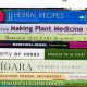 Top Herbalism Books: Your Guide to the Best Reads | The Ultimate Herbal Remedies Guide: Natural Healing for a Healthier Life
