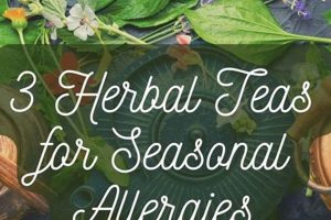 Best Herbal Tea for Allergies: Natural Allergy Relief Teas The Ultimate Herbal Remedies Guide: Natural Healing for a Healthier Life Best Herbal Tea for Allergies: Natural Allergy Relief Teas | The Ultimate Herbal Remedies Guide: Natural Healing for a Healthier Life