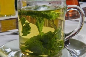 Best Herbal Drink Recipes: Your Ultimate Guide The Ultimate Herbal Remedies Guide: Natural Healing for a Healthier Life Best Herbal Drink Recipes: Your Ultimate Guide | The Ultimate Herbal Remedies Guide: Natural Healing for a Healthier Life
