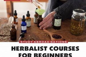 Your Guide to Herbal Medicine Courses Online + More The Ultimate Herbal Remedies Guide: Natural Healing for a Healthier Life Your Guide to Herbal Medicine Courses Online + More | The Ultimate Herbal Remedies Guide: Natural Healing for a Healthier Life
