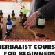 Your Guide to Herbal Medicine Courses Online + More | The Ultimate Herbal Remedies Guide: Natural Healing for a Healthier Life