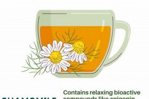 Best Herbal Tea for Stress & Anxiety Relief Today! The Ultimate Herbal Remedies Guide: Natural Healing for a Healthier Life Best Herbal Tea for Stress & Anxiety Relief Today! | The Ultimate Herbal Remedies Guide: Natural Healing for a Healthier Life