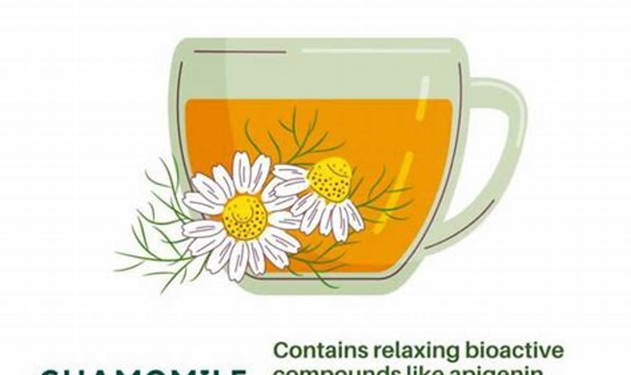 Best Herbal Tea for Stress & Anxiety Relief Today! The Ultimate Herbal Remedies Guide: Natural Healing for a Healthier Life Best Herbal Tea for Stress & Anxiety Relief Today! | The Ultimate Herbal Remedies Guide: Natural Healing for a Healthier Life