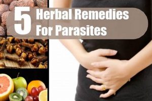Natural Herbal Remedies for Parasites: The Ultimate Guide The Ultimate Herbal Remedies Guide: Natural Healing for a Healthier Life Natural Herbal Remedies for Parasites: The Ultimate Guide | The Ultimate Herbal Remedies Guide: Natural Healing for a Healthier Life