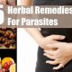 Natural Herbal Remedies for Parasites: The Ultimate Guide | The Ultimate Herbal Remedies Guide: Natural Healing for a Healthier Life
