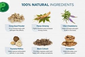 Natural Herbals: Remedy for Dizziness Relief The Ultimate Herbal Remedies Guide: Natural Healing for a Healthier Life Natural Herbals: Remedy for Dizziness Relief | The Ultimate Herbal Remedies Guide: Natural Healing for a Healthier Life