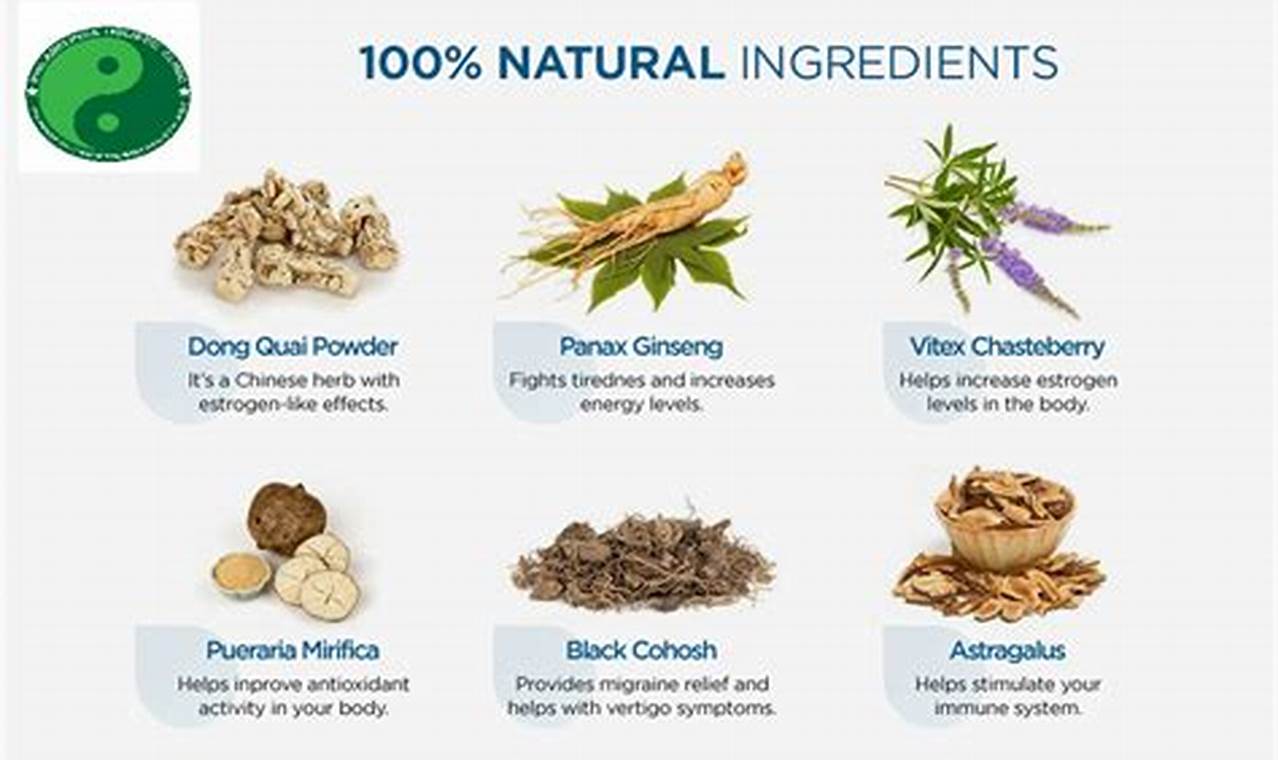 Natural Herbals: Remedy for Dizziness Relief The Ultimate Herbal Remedies Guide: Natural Healing for a Healthier Life Natural Herbals: Remedy for Dizziness Relief | The Ultimate Herbal Remedies Guide: Natural Healing for a Healthier Life