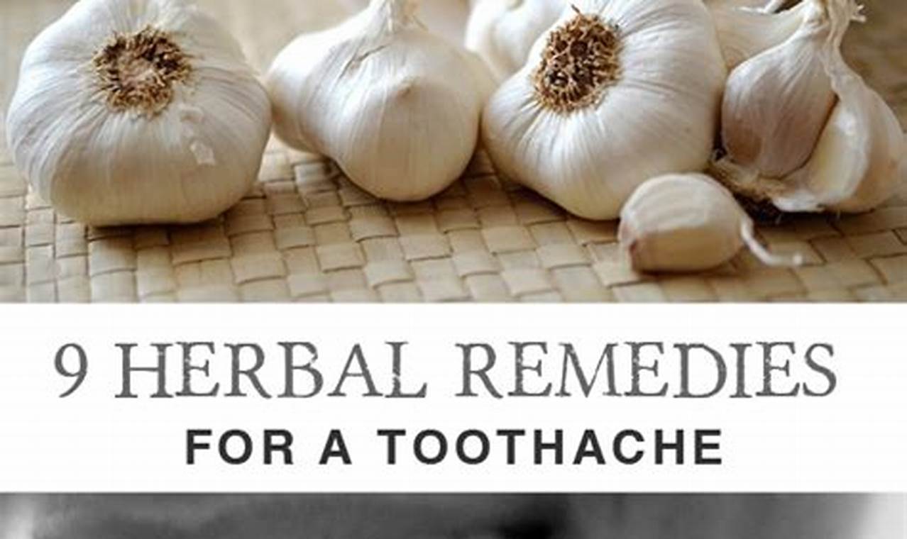 Natural Herbal Med for Toothache: Pain Relief Tips The Ultimate Herbal Remedies Guide: Natural Healing for a Healthier Life Natural Herbal Med for Toothache: Pain Relief Tips | The Ultimate Herbal Remedies Guide: Natural Healing for a Healthier Life