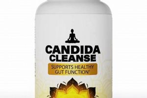 Natural Herbal Candida Cleanse: Benefits & Guide The Ultimate Herbal Remedies Guide: Natural Healing for a Healthier Life Natural Herbal Candida Cleanse: Benefits & Guide | The Ultimate Herbal Remedies Guide: Natural Healing for a Healthier Life