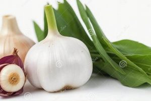 Boost Health: Garlic Herbal Benefits & Uses The Ultimate Herbal Remedies Guide: Natural Healing for a Healthier Life Boost Health: Garlic Herbal Benefits & Uses | The Ultimate Herbal Remedies Guide: Natural Healing for a Healthier Life
