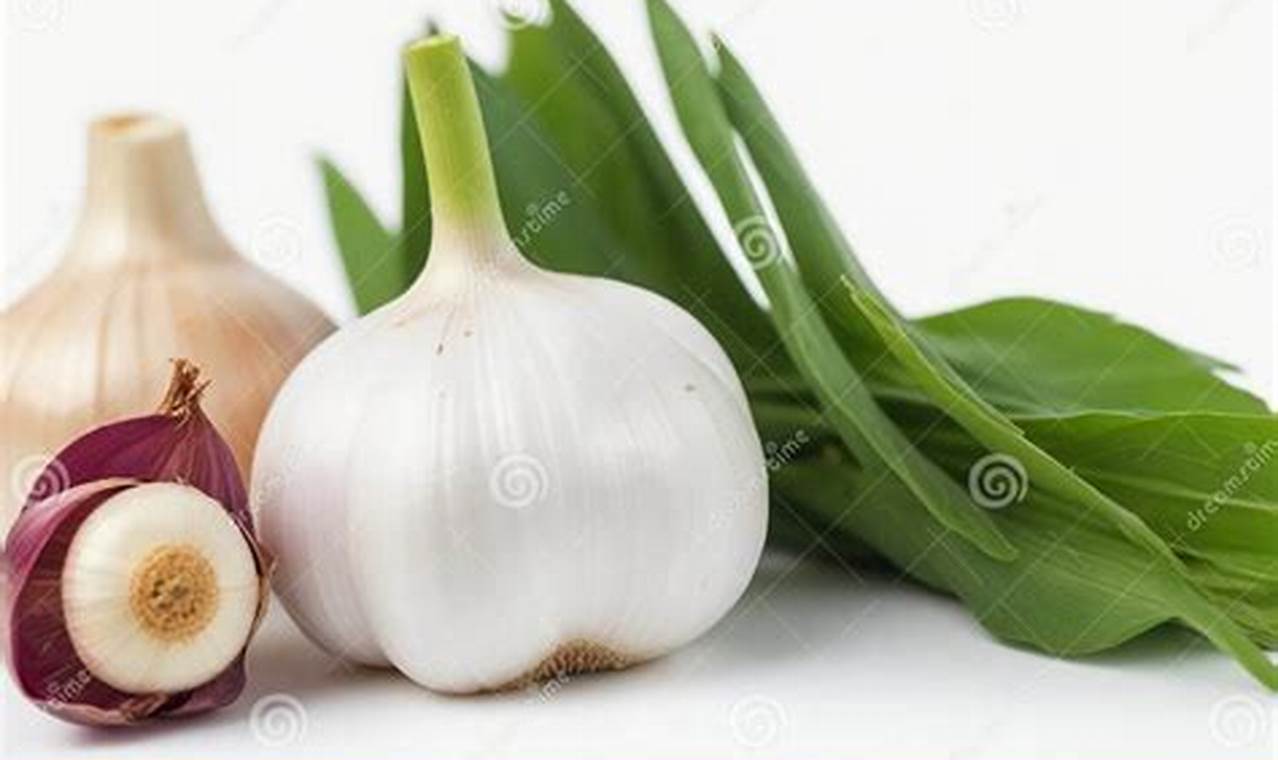 Boost Health: Garlic Herbal Benefits & Uses The Ultimate Herbal Remedies Guide: Natural Healing for a Healthier Life Boost Health: Garlic Herbal Benefits & Uses | The Ultimate Herbal Remedies Guide: Natural Healing for a Healthier Life