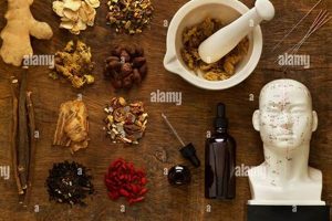Best Herbal Equipment: Tools & Devices For Herbalists The Ultimate Herbal Remedies Guide: Natural Healing for a Healthier Life Best Herbal Equipment: Tools & Devices For Herbalists | The Ultimate Herbal Remedies Guide: Natural Healing for a Healthier Life