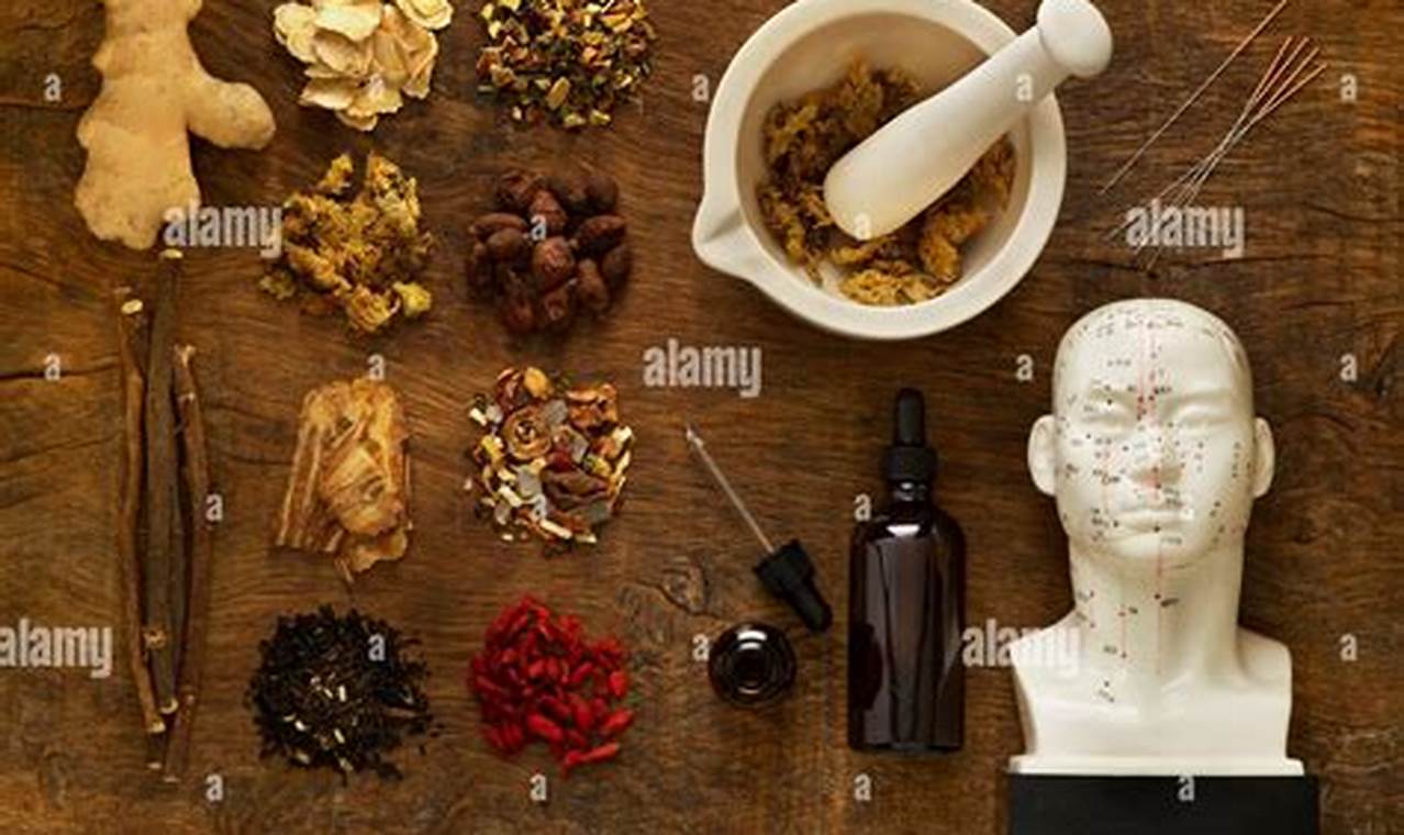 Best Herbal Equipment: Tools & Devices For Herbalists The Ultimate Herbal Remedies Guide: Natural Healing for a Healthier Life Best Herbal Equipment: Tools & Devices For Herbalists | The Ultimate Herbal Remedies Guide: Natural Healing for a Healthier Life