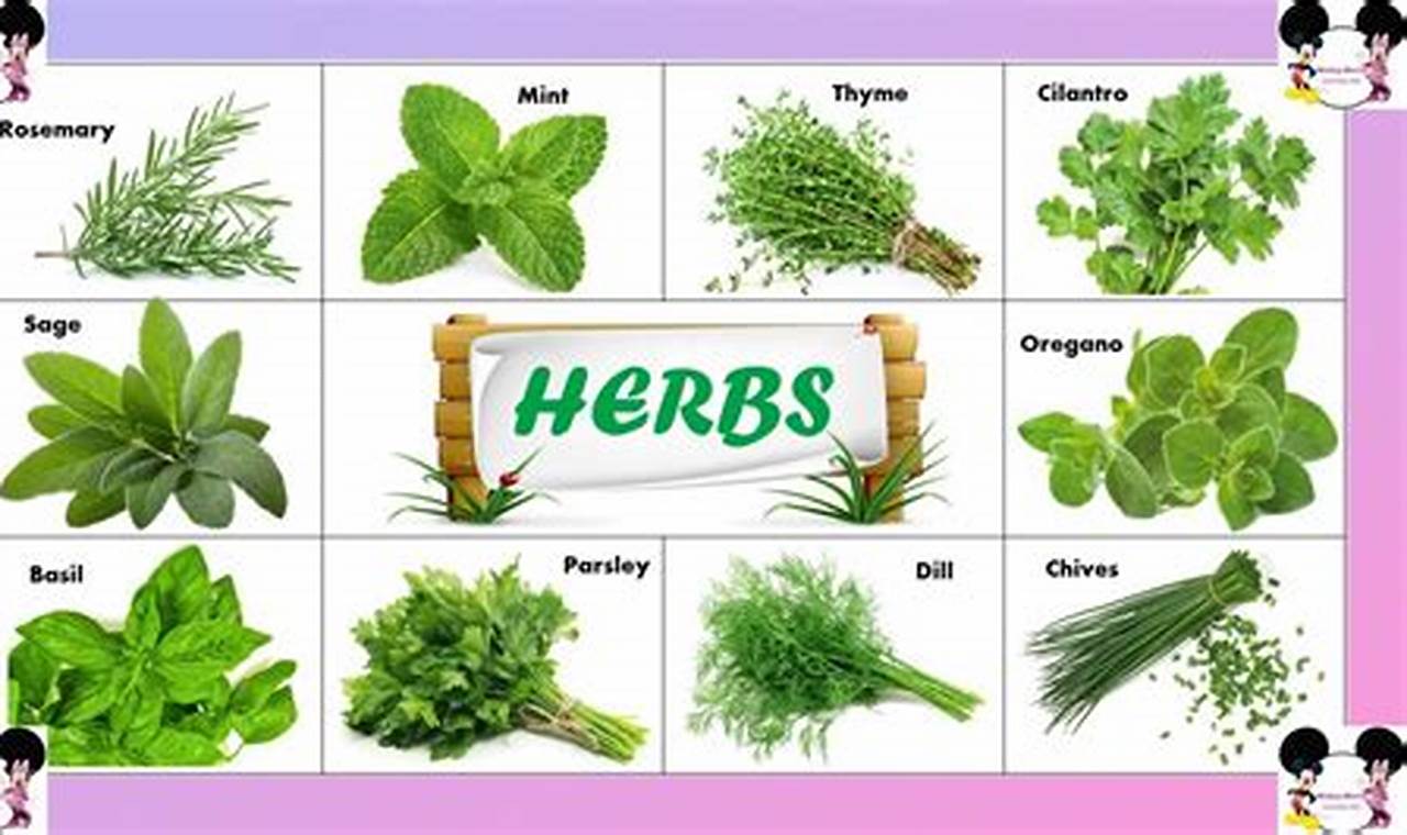 Learn Herbal Plants: Names & Pictures - Your Guide The Ultimate Herbal Remedies Guide: Natural Healing for a Healthier Life Learn Herbal Plants: Names & Pictures - Your Guide | The Ultimate Herbal Remedies Guide: Natural Healing for a Healthier Life