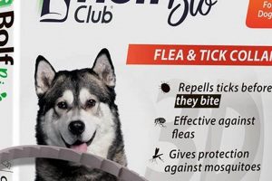 Safe Herbals: Best Herbal Flea Collar for Dogs Today The Ultimate Herbal Remedies Guide: Natural Healing for a Healthier Life Safe Herbals: Best Herbal Flea Collar for Dogs Today | The Ultimate Herbal Remedies Guide: Natural Healing for a Healthier Life