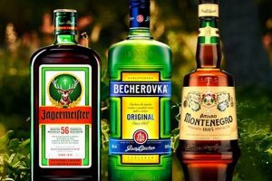 Best Herbal Liquors: Explore Botanical Drinks & More The Ultimate Herbal Remedies Guide: Natural Healing for a Healthier Life Best Herbal Liquors: Explore Botanical Drinks & More | The Ultimate Herbal Remedies Guide: Natural Healing for a Healthier Life