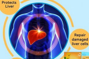 TCM: Chinese Herbal Liver Cleanse + Support The Ultimate Herbal Remedies Guide: Natural Healing for a Healthier Life TCM: Chinese Herbal Liver Cleanse + Support | The Ultimate Herbal Remedies Guide: Natural Healing for a Healthier Life