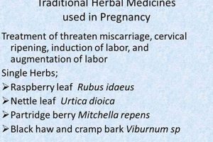 Natural Herbals: Herbal Induction of Labor - Risks & Tips The Ultimate Herbal Remedies Guide: Natural Healing for a Healthier Life Natural Herbals: Herbal Induction of Labor - Risks & Tips | The Ultimate Herbal Remedies Guide: Natural Healing for a Healthier Life