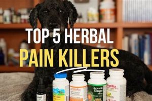Natural Herbal Painkillers for Dogs: Safe Relief? The Ultimate Herbal Remedies Guide: Natural Healing for a Healthier Life Natural Herbal Painkillers for Dogs: Safe Relief? | The Ultimate Herbal Remedies Guide: Natural Healing for a Healthier Life