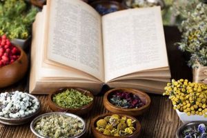 Exploring Western Herbal Medicine: Benefits & Uses The Ultimate Herbal Remedies Guide: Natural Healing for a Healthier Life Exploring Western Herbal Medicine: Benefits & Uses | The Ultimate Herbal Remedies Guide: Natural Healing for a Healthier Life