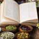 Exploring Western Herbal Medicine: Benefits & Uses | The Ultimate Herbal Remedies Guide: Natural Healing for a Healthier Life