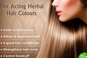 Natural Herbal Hair Color: Safe Dye + Healthy Hair The Ultimate Herbal Remedies Guide: Natural Healing for a Healthier Life Natural Herbal Hair Color: Safe Dye + Healthy Hair | The Ultimate Herbal Remedies Guide: Natural Healing for a Healthier Life