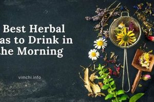 Top Best Herbal Tea in the Morning: Your Perfect Start The Ultimate Herbal Remedies Guide: Natural Healing for a Healthier Life Top Best Herbal Tea in the Morning: Your Perfect Start | The Ultimate Herbal Remedies Guide: Natural Healing for a Healthier Life