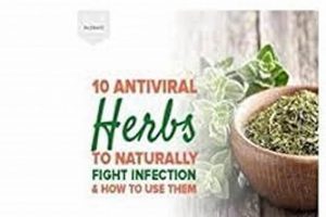 Natural Boost: Herbal Remedies for Infection Relief The Ultimate Herbal Remedies Guide: Natural Healing for a Healthier Life Natural Boost: Herbal Remedies for Infection Relief | The Ultimate Herbal Remedies Guide: Natural Healing for a Healthier Life