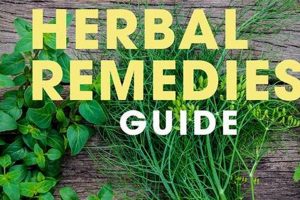 The Ultimate Herbal Remedies Guide: Uses & Safety Tips The Ultimate Herbal Remedies Guide: Natural Healing for a Healthier Life The Ultimate Herbal Remedies Guide: Uses & Safety Tips | The Ultimate Herbal Remedies Guide: Natural Healing for a Healthier Life