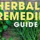 The Ultimate Herbal Remedies Guide: Uses & Safety Tips | The Ultimate Herbal Remedies Guide: Natural Healing for a Healthier Life