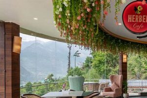 Your Guide: Herbal Cafe Bliss & Beyond The Ultimate Herbal Remedies Guide: Natural Healing for a Healthier Life Your Guide: Herbal Cafe Bliss & Beyond | The Ultimate Herbal Remedies Guide: Natural Healing for a Healthier Life