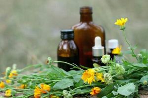 Find Natural Herbal Medicine Near Me: Remedies & Experts The Ultimate Herbal Remedies Guide: Natural Healing for a Healthier Life Find Natural Herbal Medicine Near Me: Remedies & Experts | The Ultimate Herbal Remedies Guide: Natural Healing for a Healthier Life