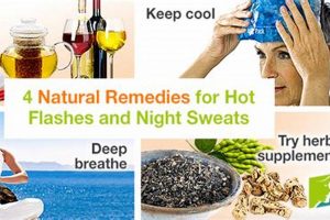 Natural Herbal Treatment for Hot Flashes & Sweats Relief The Ultimate Herbal Remedies Guide: Natural Healing for a Healthier Life Natural Herbal Treatment for Hot Flashes & Sweats Relief | The Ultimate Herbal Remedies Guide: Natural Healing for a Healthier Life