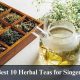 Best Herbal Tea for Singers: Vocal Soother + More! | The Ultimate Herbal Remedies Guide: Natural Healing for a Healthier Life