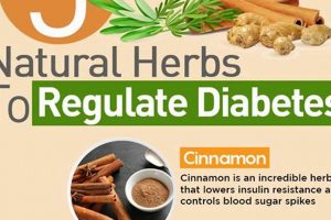 Natural Boost: Herbal Medicine for Diabetics Support The Ultimate Herbal Remedies Guide: Natural Healing for a Healthier Life Natural Boost: Herbal Medicine for Diabetics Support | The Ultimate Herbal Remedies Guide: Natural Healing for a Healthier Life