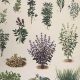Botanical Herbal Wall Art: Nature's Decor | The Ultimate Herbal Remedies Guide: Natural Healing for a Healthier Life