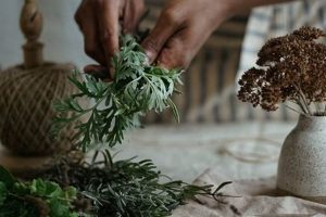 Learn: Online Herbalism Courses & Certification The Ultimate Herbal Remedies Guide: Natural Healing for a Healthier Life Learn: Online Herbalism Courses & Certification | The Ultimate Herbal Remedies Guide: Natural Healing for a Healthier Life