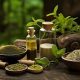 Best Herbal Product Guide: Boost Your Health Naturally | The Ultimate Herbal Remedies Guide: Natural Healing for a Healthier Life