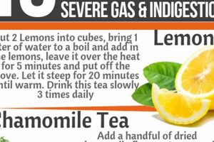 Natural Herbal Remedies for Gas & Bloating Relief The Ultimate Herbal Remedies Guide: Natural Healing for a Healthier Life Natural Herbal Remedies for Gas & Bloating Relief | The Ultimate Herbal Remedies Guide: Natural Healing for a Healthier Life