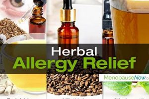 Natural Herbal Allergy Relief: Find Soothing Herbs The Ultimate Herbal Remedies Guide: Natural Healing for a Healthier Life Natural Herbal Allergy Relief: Find Soothing Herbs | The Ultimate Herbal Remedies Guide: Natural Healing for a Healthier Life