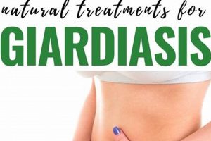 Natural Herbal Remedies for Giardia: Safe Options The Ultimate Herbal Remedies Guide: Natural Healing for a Healthier Life Natural Herbal Remedies for Giardia: Safe Options | The Ultimate Herbal Remedies Guide: Natural Healing for a Healthier Life
