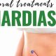 Natural Herbal Remedies for Giardia: Safe Options | The Ultimate Herbal Remedies Guide: Natural Healing for a Healthier Life