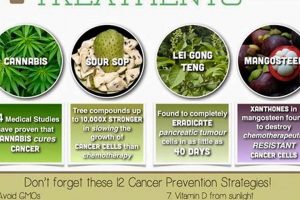 Natural Herbal Remedies for Cancer: Benefits & Risks The Ultimate Herbal Remedies Guide: Natural Healing for a Healthier Life Natural Herbal Remedies for Cancer: Benefits & Risks | The Ultimate Herbal Remedies Guide: Natural Healing for a Healthier Life