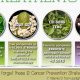 Natural Herbal Remedies for Cancer: Benefits & Risks | The Ultimate Herbal Remedies Guide: Natural Healing for a Healthier Life